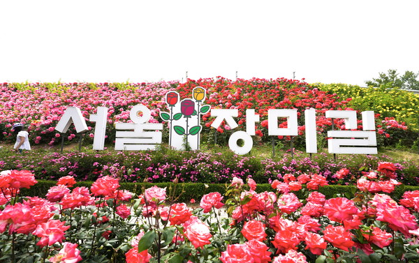 중랑 장미축제